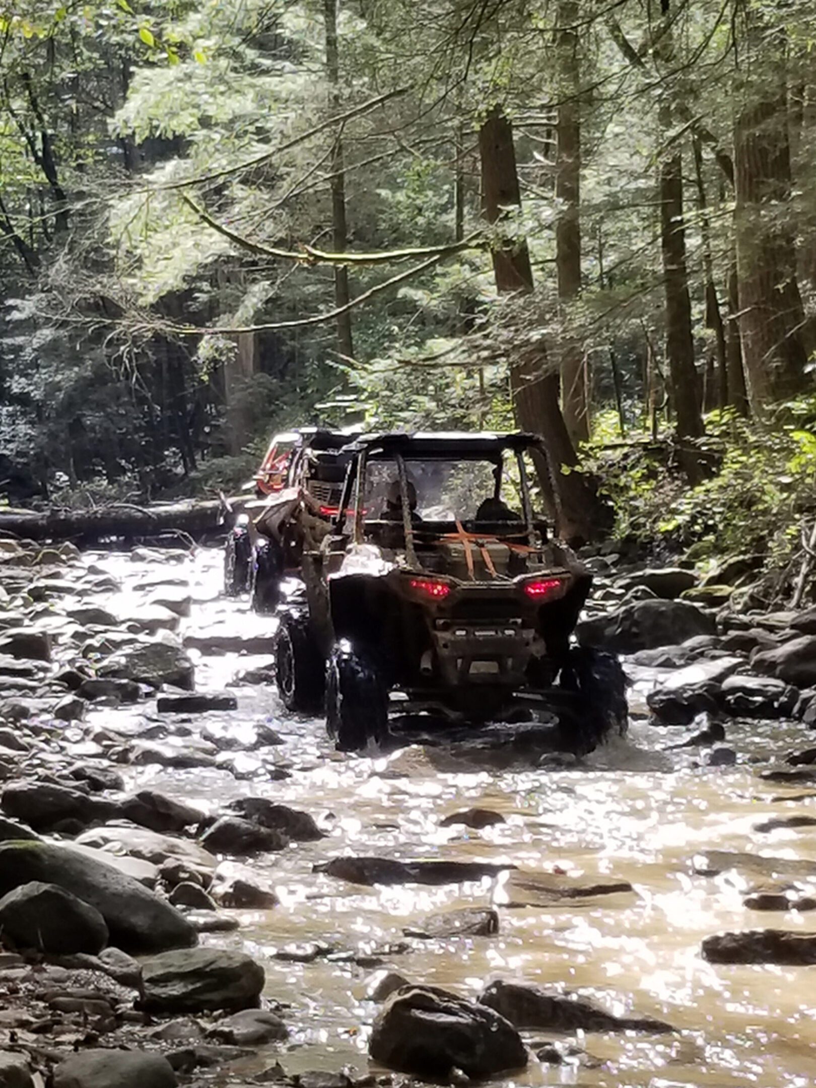 A group of people riding on the back of an atv.