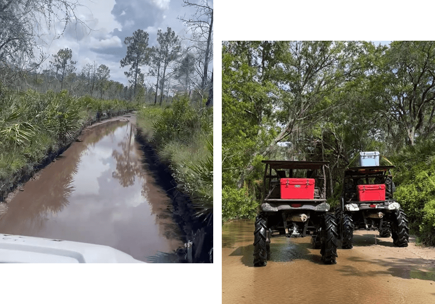 A picture of two different types of vehicles.