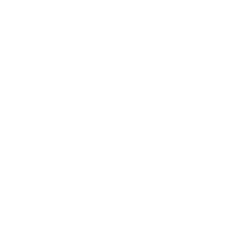 Map icon with a location pin.