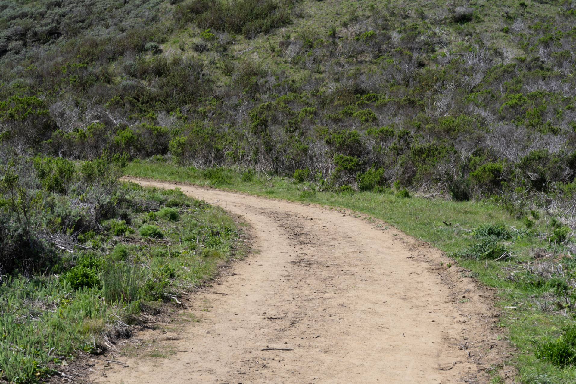 Dirt path winding through green hillside.